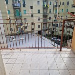 IMG-20260209-WA0012