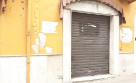 IMG-20191212-WA0010